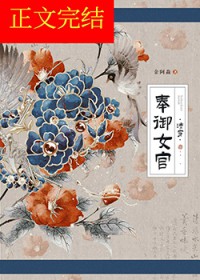 掌事女官清穿作者金阿淼