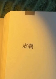 皮囊之下电视剧免费在线观看